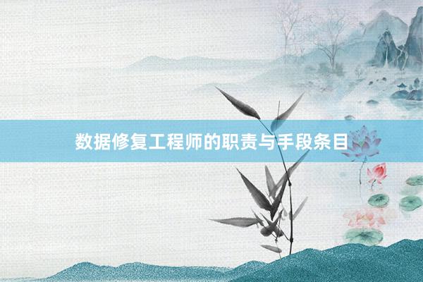 数据修复工程师的职责与手段条目