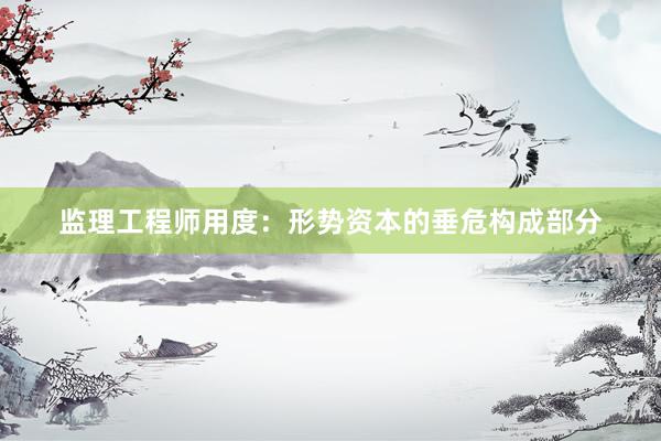 监理工程师用度：形势资本的垂危构成部分